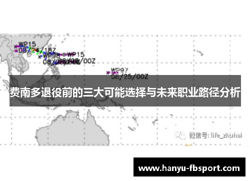 费南多退役前的三大可能选择与未来职业路径分析