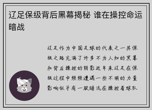 辽足保级背后黑幕揭秘 谁在操控命运暗战